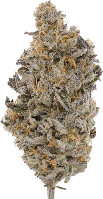 MAC 1 image 1